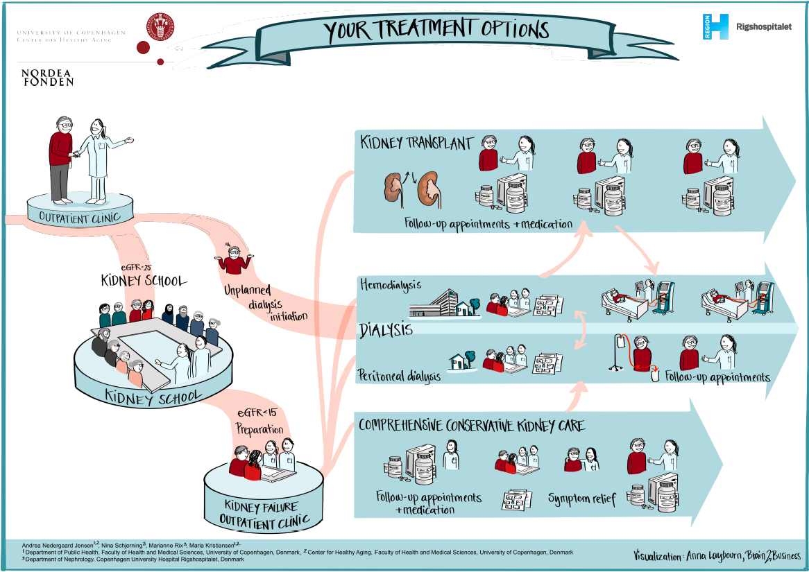 Graphical illustration of kidney treatment options